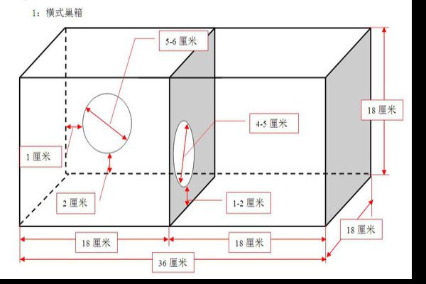 虎皮鹦鹉孵化箱制作方法（图解）