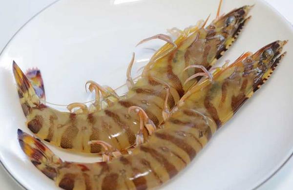 斑节虾和基围虾的区别是什么 斑节虾和基围虾哪个贵