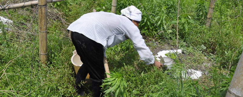 复合肥一亩地用多少