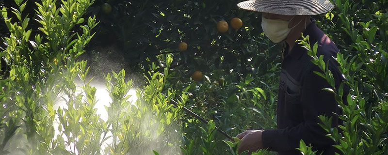 甲基托布津使用方法