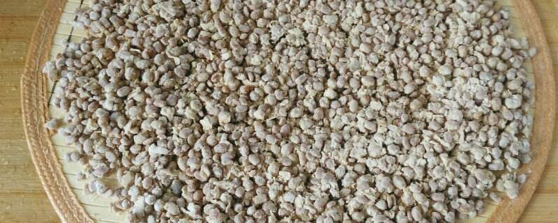 发酵大豆肥料的肥效