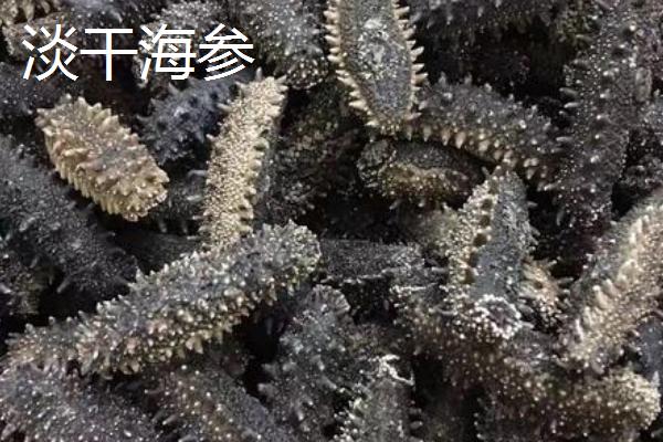 海参淡干和盐干有什么区别