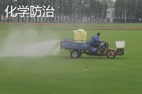 生物防治和化学防治的区别