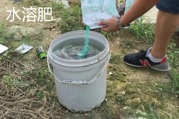 水溶肥与叶面肥的区别