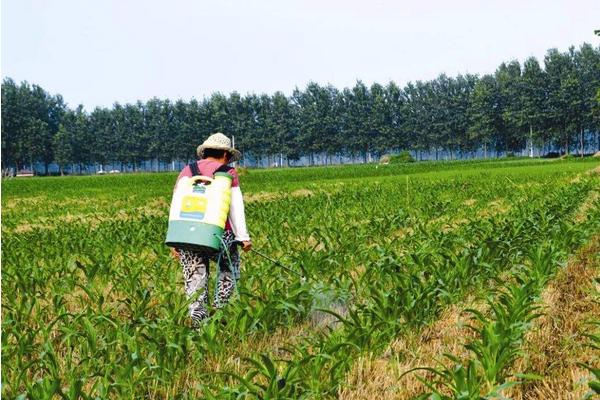 烟嘧莠去津除草剂使用说明书