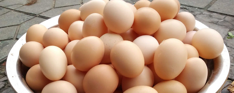 吃饲料的鸡蛋和粮食鸡蛋有什么区别