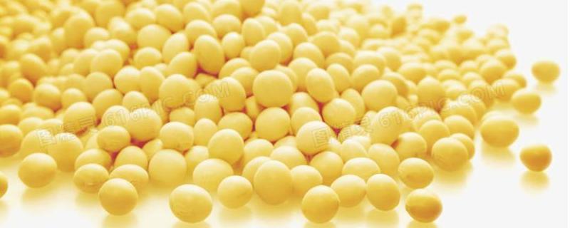黄豆制作肥料的正确方法