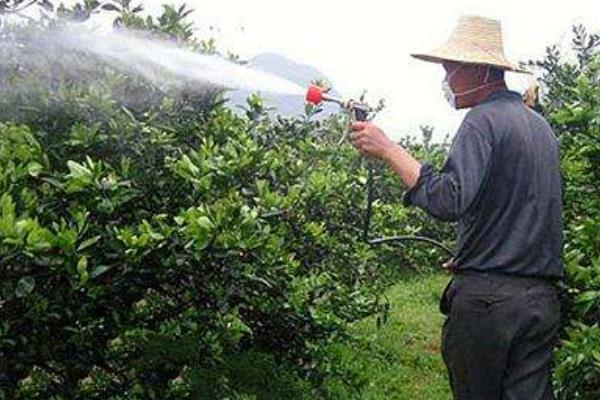 多宁硫酸铜钙使用技术