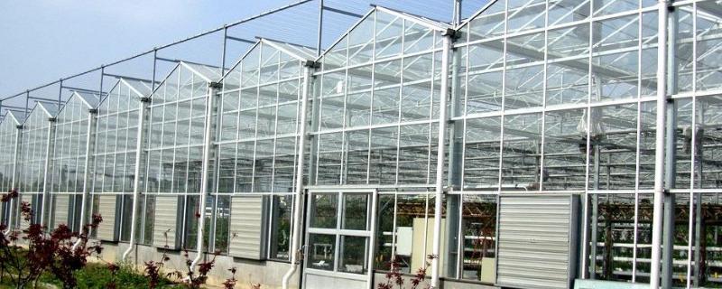 如何建造温室玻璃大棚