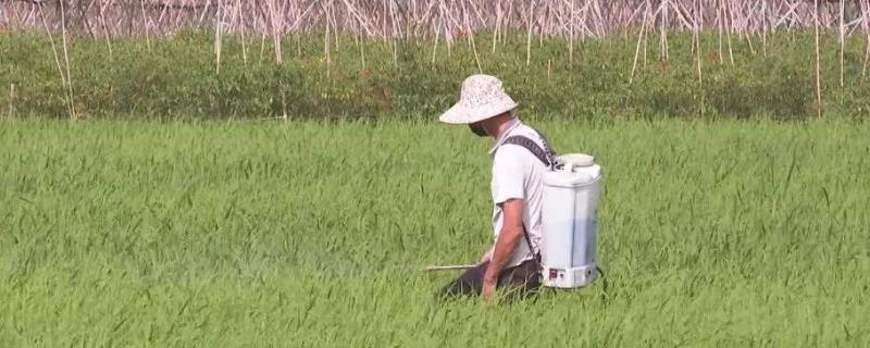 杀虫气雾剂喷不出来怎么办