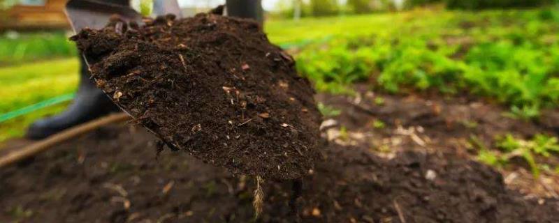如何进行作物测土配方施肥