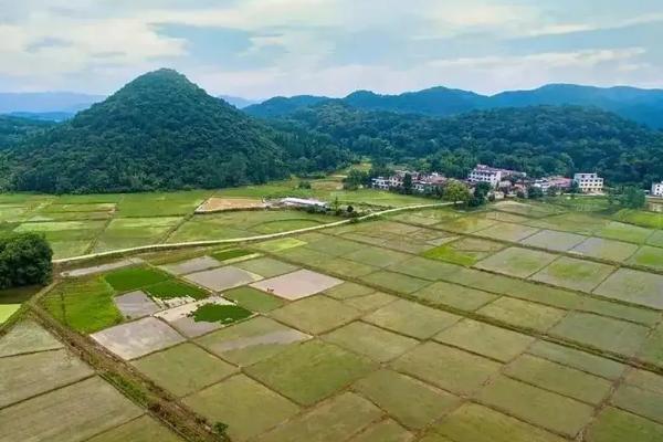 永久基本农田和基本农田的区别，什么是耕地