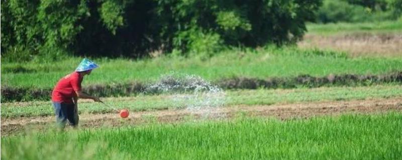 水分对农业生产的影响