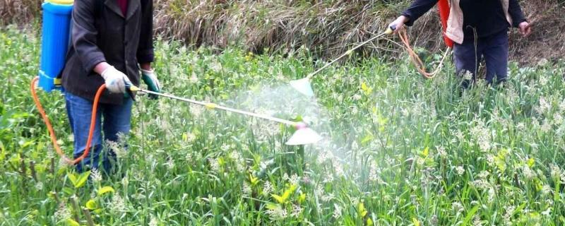 播种耕田除草施肥收割怎么排序