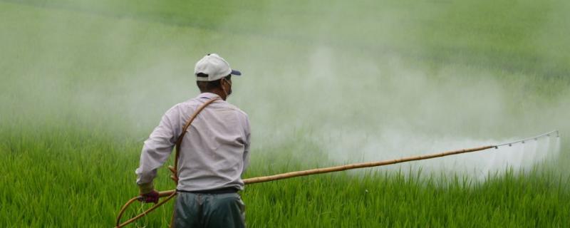 代森锰锌能与哪些杀虫剂混用