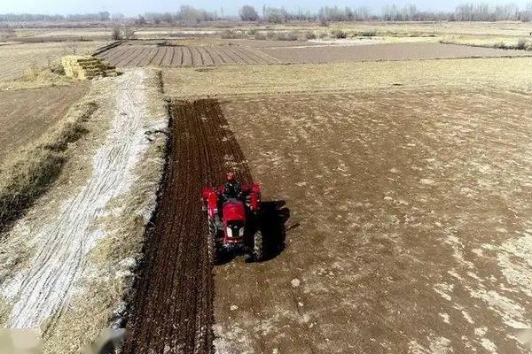 谷神2号产量与特性?水稻种植方法