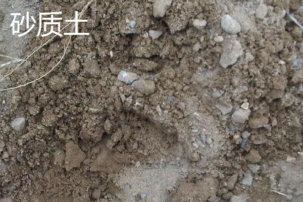 沙质土和粘质土和壤土有什么区别，沙质土和粘质土和壤土分别适宜生长什么植物