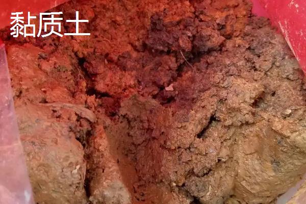 沙质土和粘质土和壤土有什么区别，沙质土和粘质土和壤土分别适宜生长什么植物