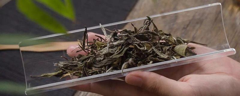 白茶属于发酵茶还是半发酵茶