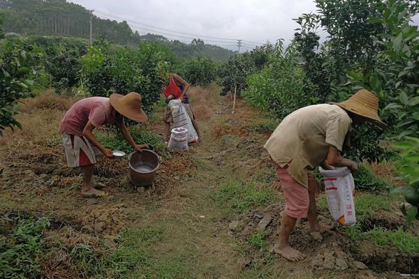 柑橘果实的生长发育适宜温度是，附种植方法和条件