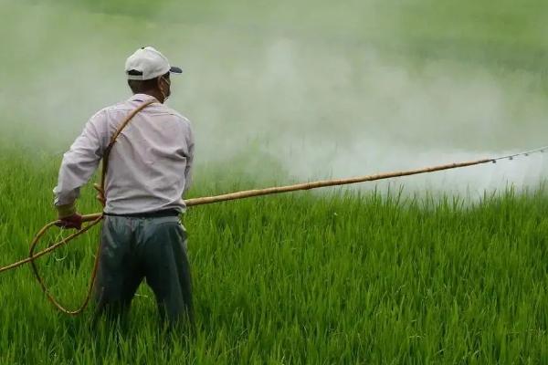 丙炔氟草胺防治什么草，丙炔氟草胺对下茬作物有影响吗