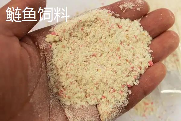 鲢鱼吃什么饲料，鲢鱼刺多吗