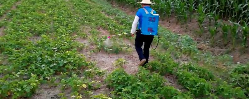 氟磺胺草醚除草剂除草范围