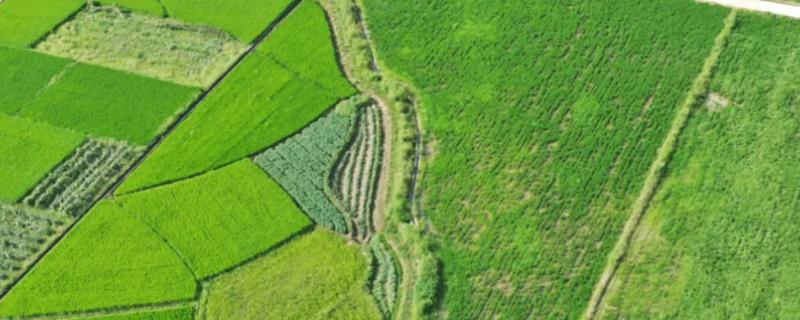 基本农田种植范围