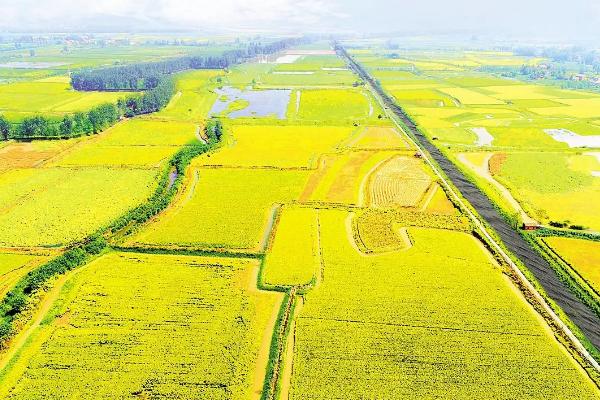 基本农田种植范围，基本农田可以搞养殖吗