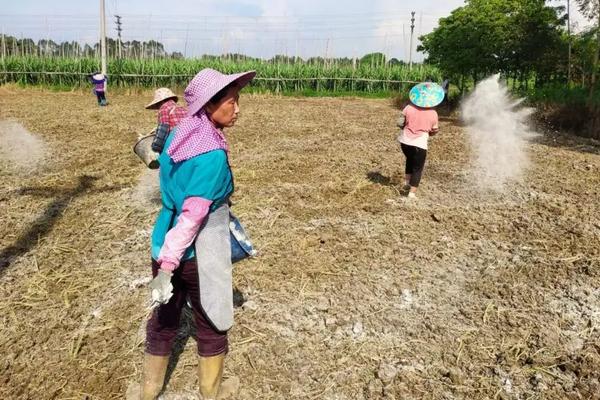 花生种植时间和方法及管理技术，怎么种才能高产