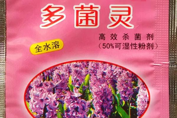 多菌灵的作用及用法，可灭杀细菌防止感染