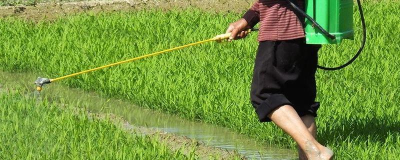 吡虫啉和毒死蜱混用