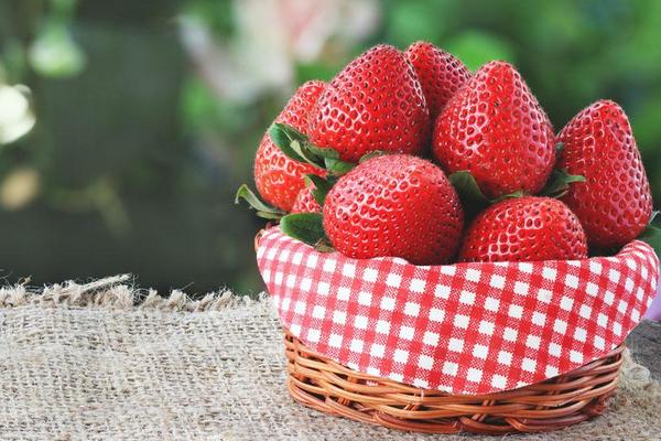 温室草莓种植前景