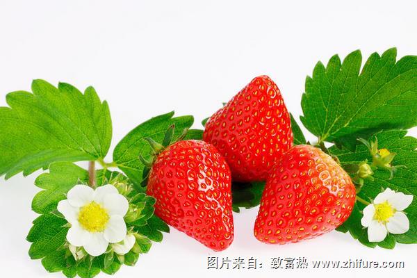 草莓疏花疏果技术