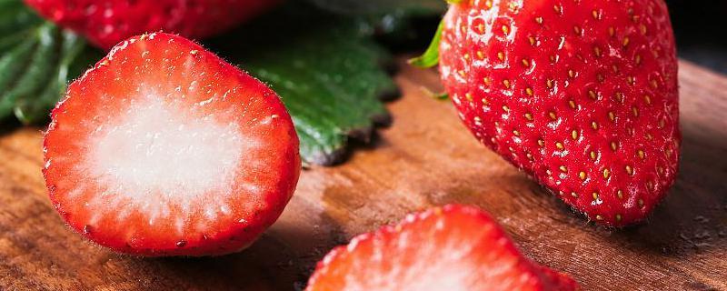 大果草莓有哪些品种