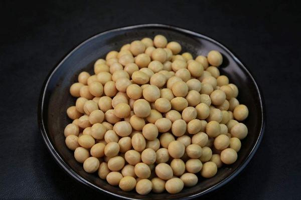 哪些大豆品种适合江苏种植