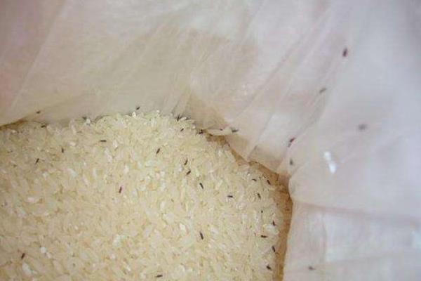 黑龙江哪里生产的大米又出名又好吃
