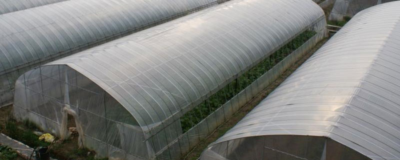 蔬菜温室建设要求