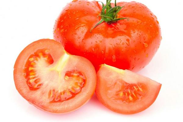 怎样种番茄