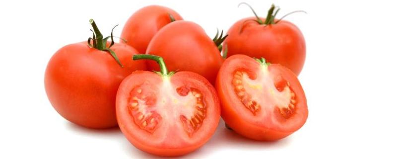 番茄和西红柿有什么区别？番茄的营养价值是什么
