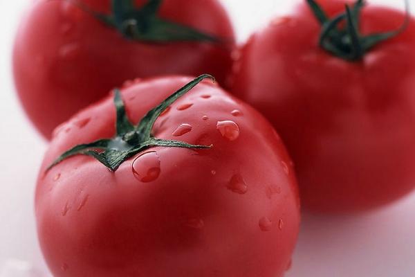 番茄膨果缓慢的原因是什么？如何预防这种现象