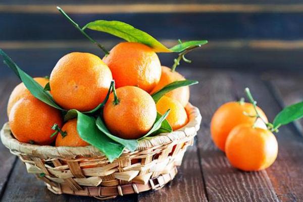比沃柑更好的柑橘品种有哪些