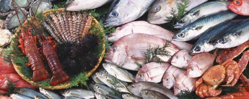 海鲜贝类主要有哪些种类？常见海鲜贝类价格如何？如何选择海鲜贝类