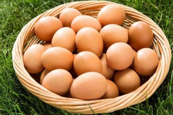 一斤粉壳鸡蛋的价格是多少？有什么特点