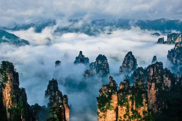 广东奶茶消费全国第一，奶茶真的可以多喝吗