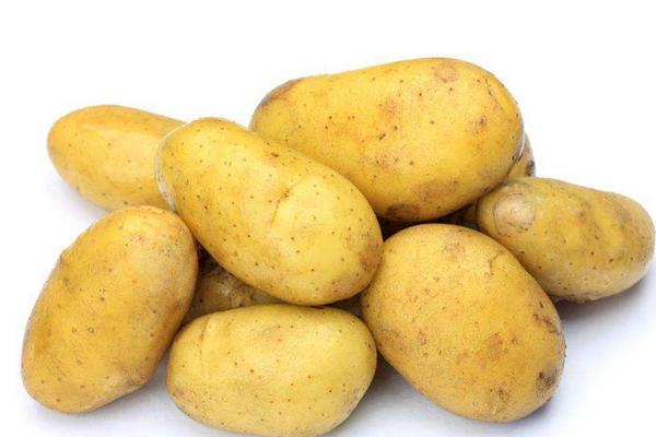一般多少斤土豆亩产量最高