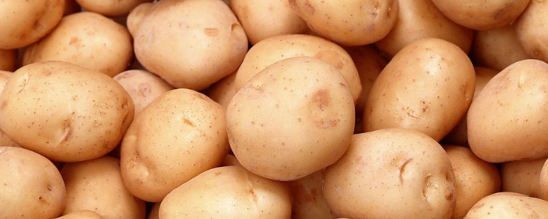 什么肥料适合土豆