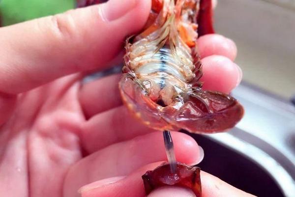哪里的小龙虾最有名？为什么绿壳小龙虾比红壳贵