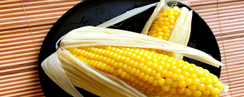 玉米产地主要在哪个省