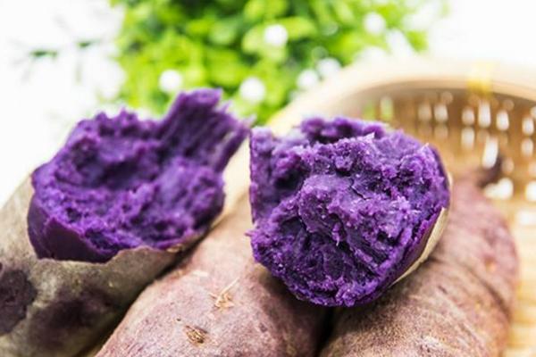 紫薯的市场前景如何？种植紫薯的好处是什么